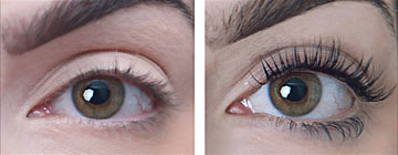 Lash Perfect Lash Lift